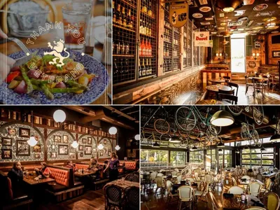 Café Hollander Hilldale, business photo 1