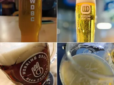 Working Draft Beer Company, business photo 1